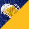 Navy/Gold