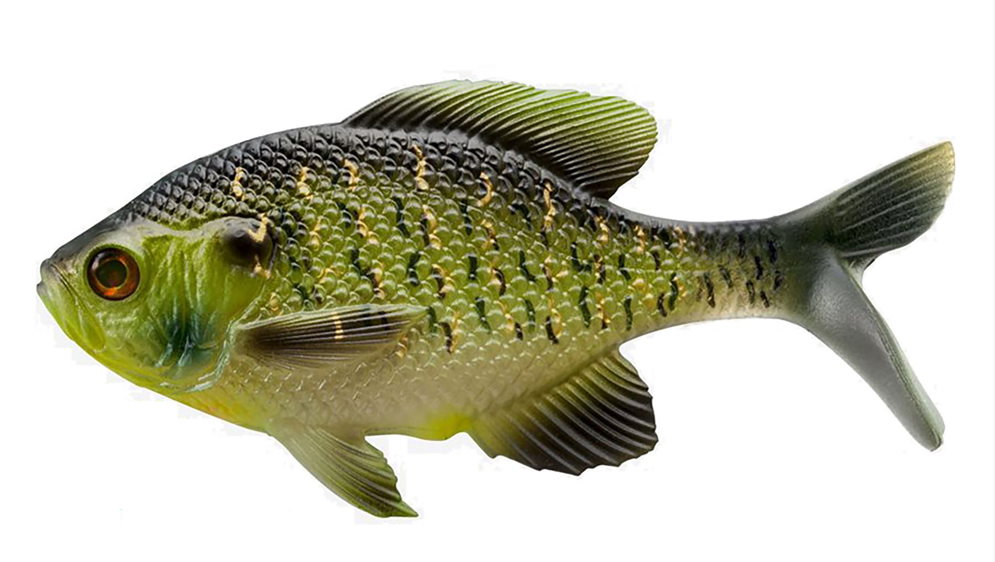 Sunfish