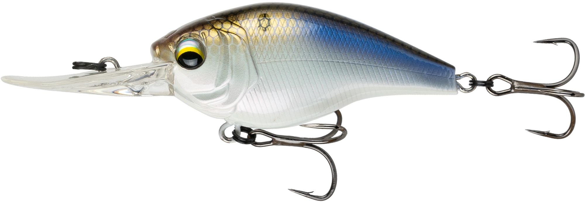 4K Shad