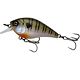 4K Bluegill