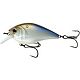 4K Shad
