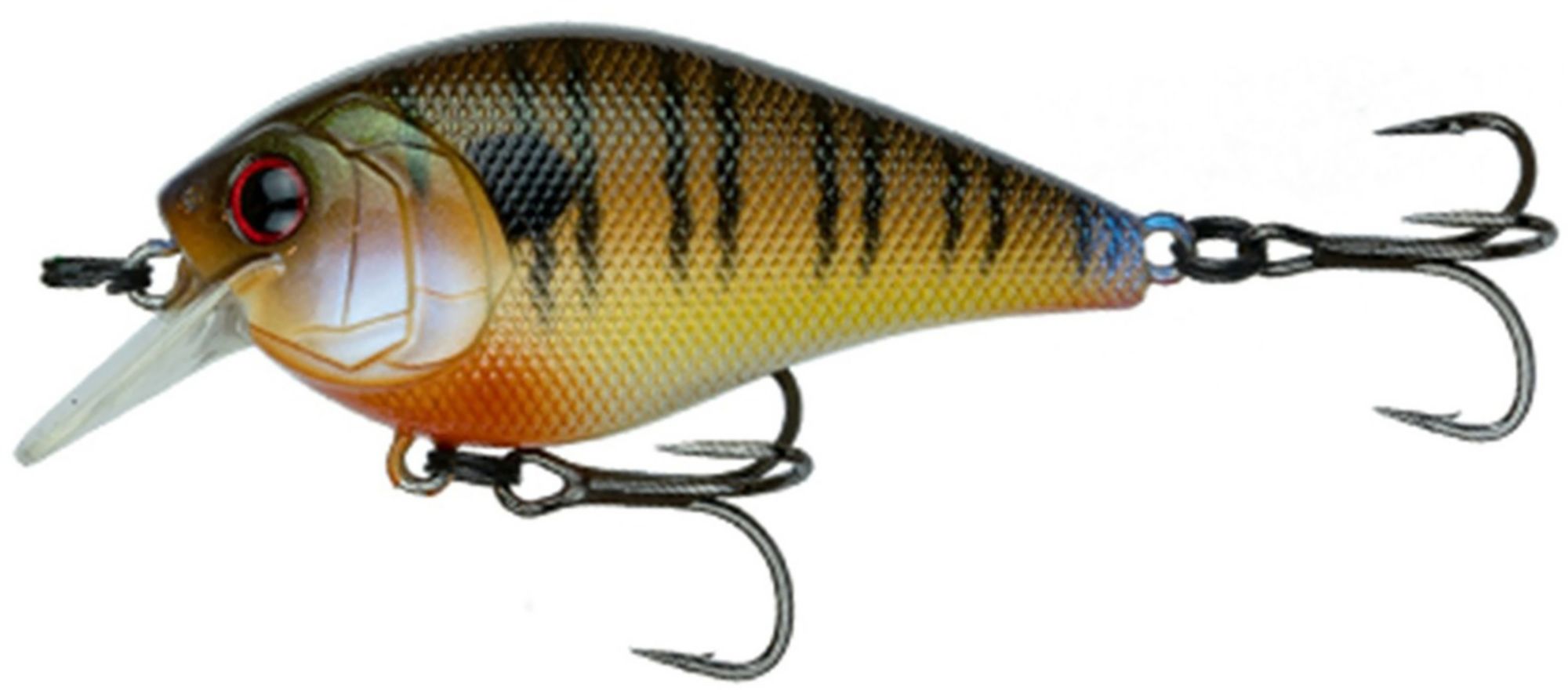Cajun Bluegill
