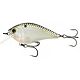 Ghost Shad Scales