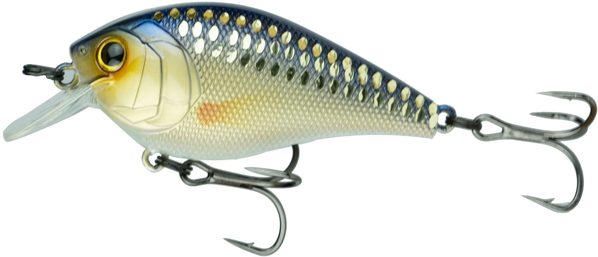 Live Shiner