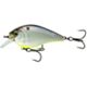 Shad-Treuse Scales