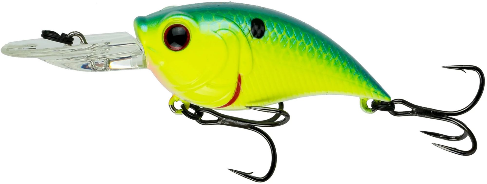 Blue-Treuse Shad