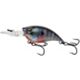 Bluegill Spawn