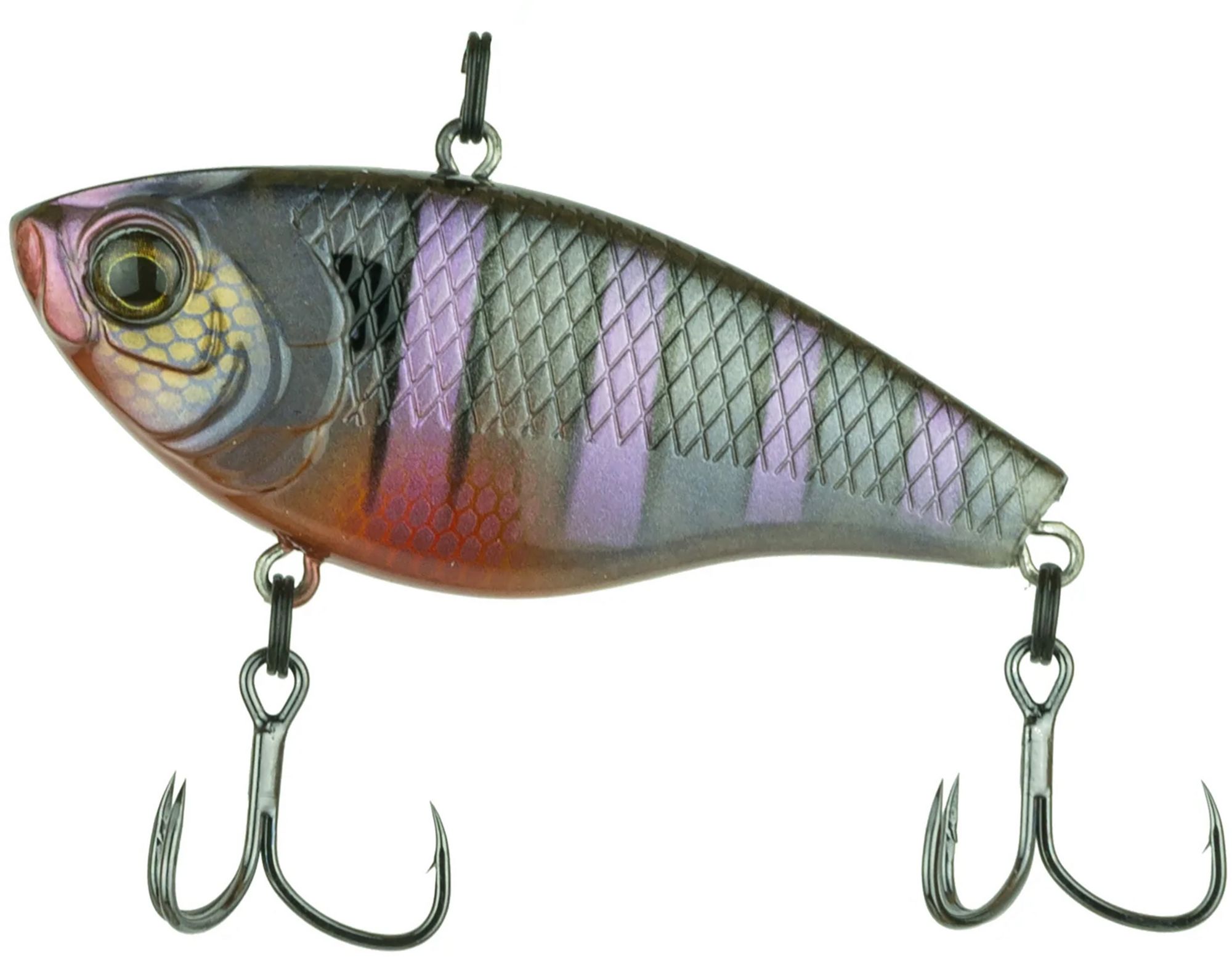 Bluegill Spawn