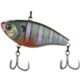 Bluegill Spawn