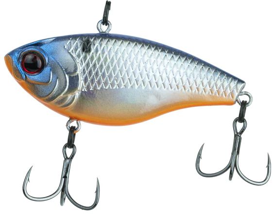 Shad Surge