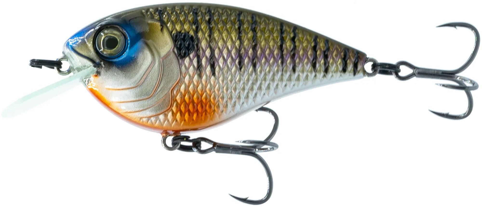 4K Bluegill