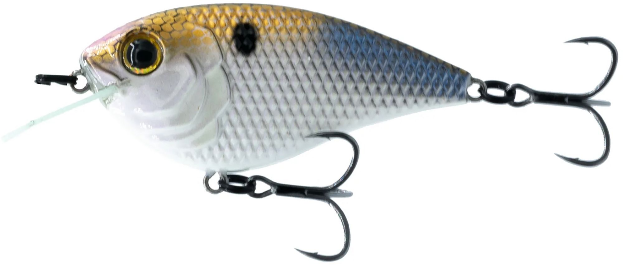 4K Shad