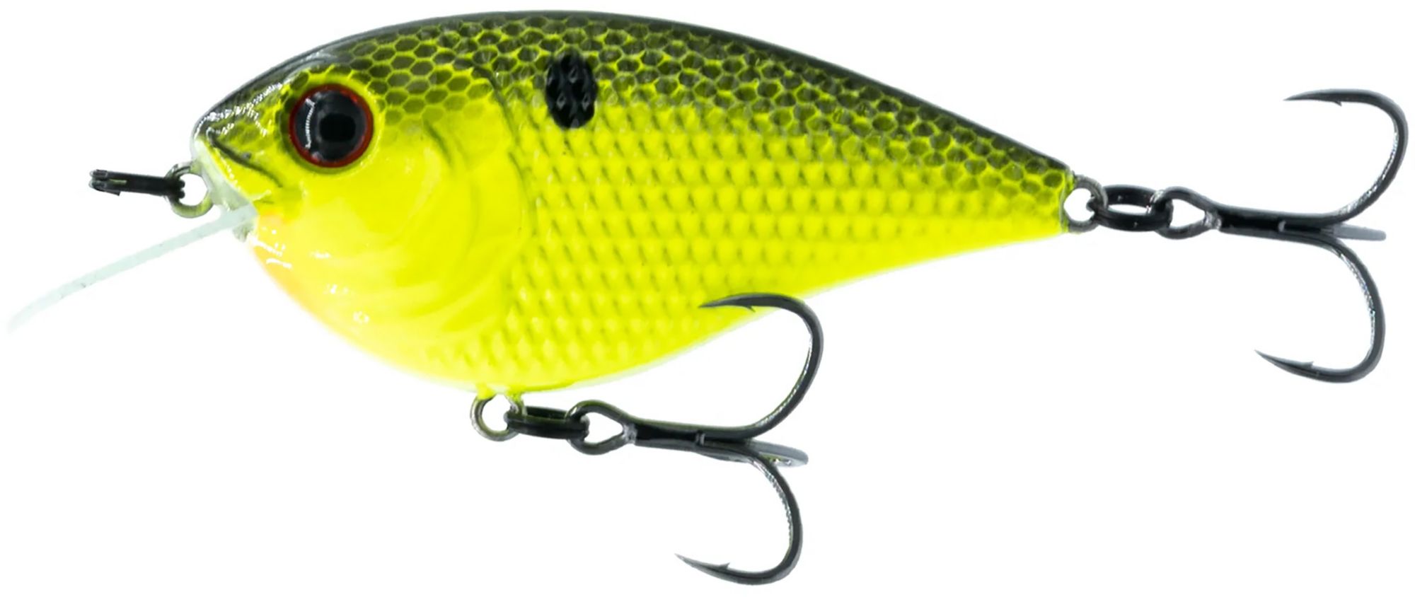 Chartreuse Black Back