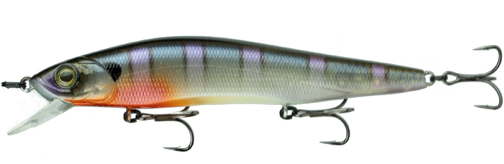 Bluegill Spawn