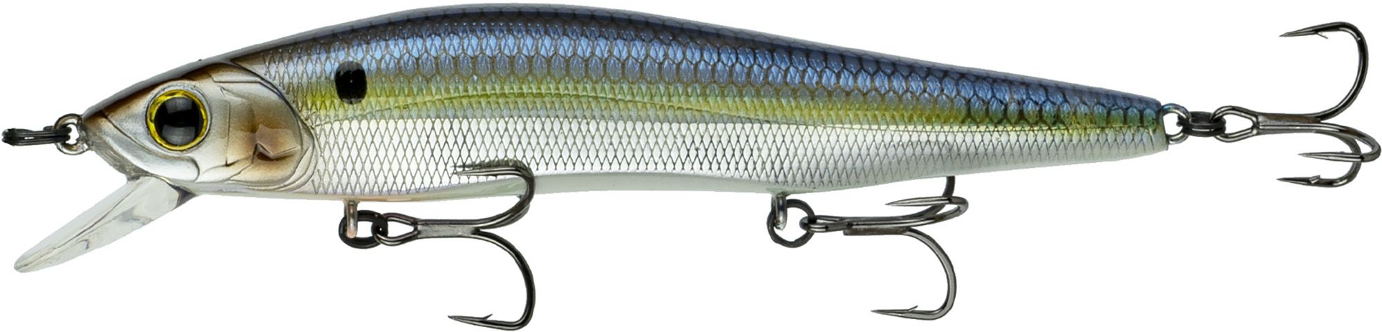 Chrome Threadfin