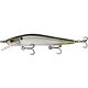 Ghost Threadfin Shad
