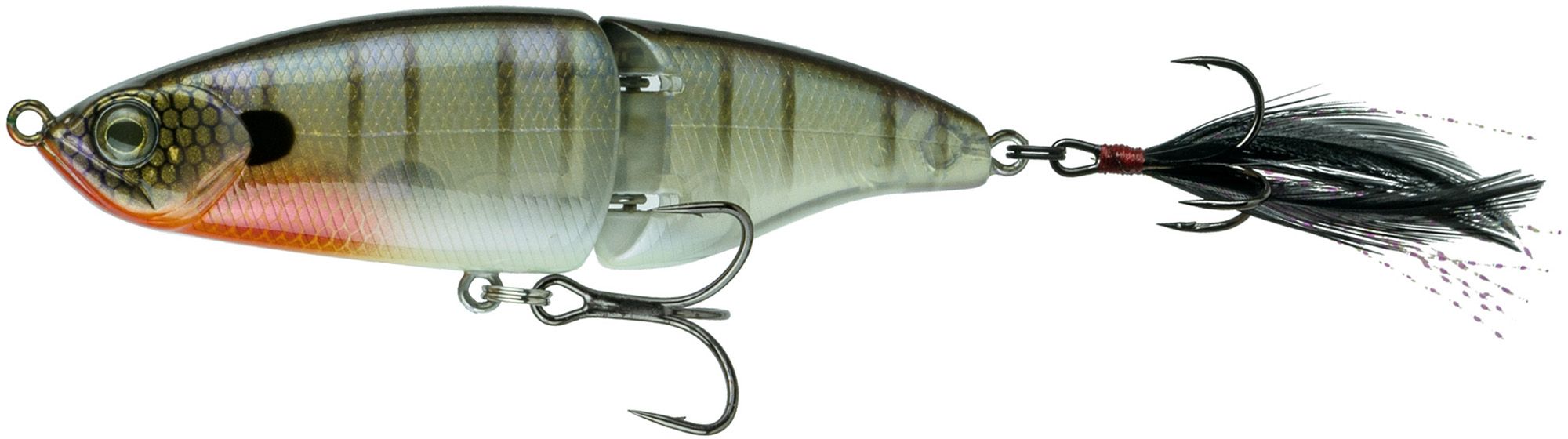 Bluegill Spawn