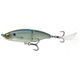 Ghost Minnow