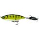 Yellow Perch