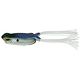 Shad Spawn