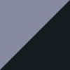 Silver Violet
