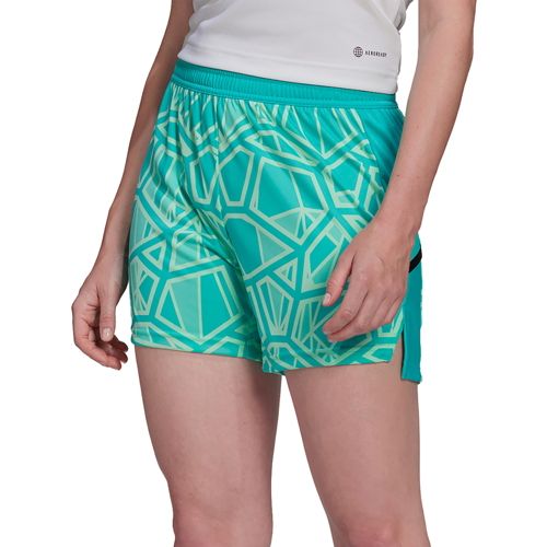 The North Face Women's Wander Shorts | Dick's Sporting Goods