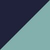Blue/Silver