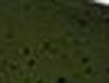 Green Pumpkin