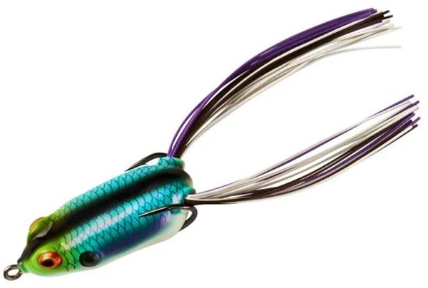 Aqua Frog