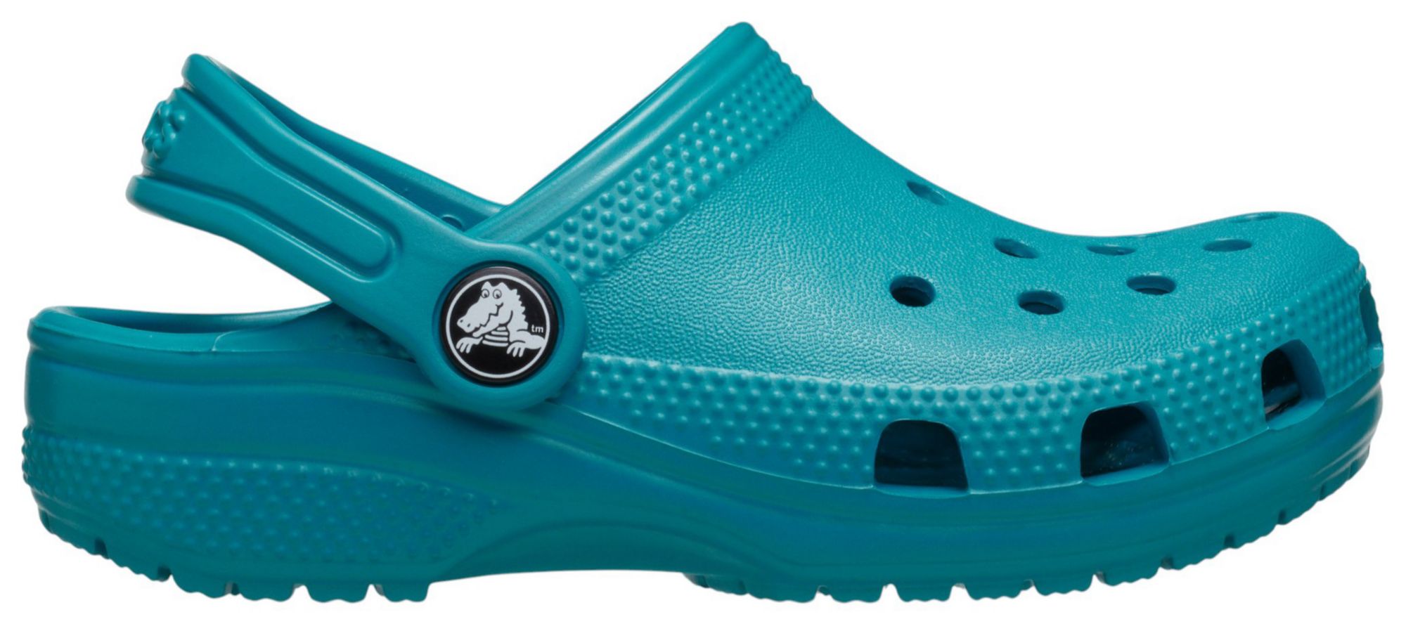 Turbo Teal
