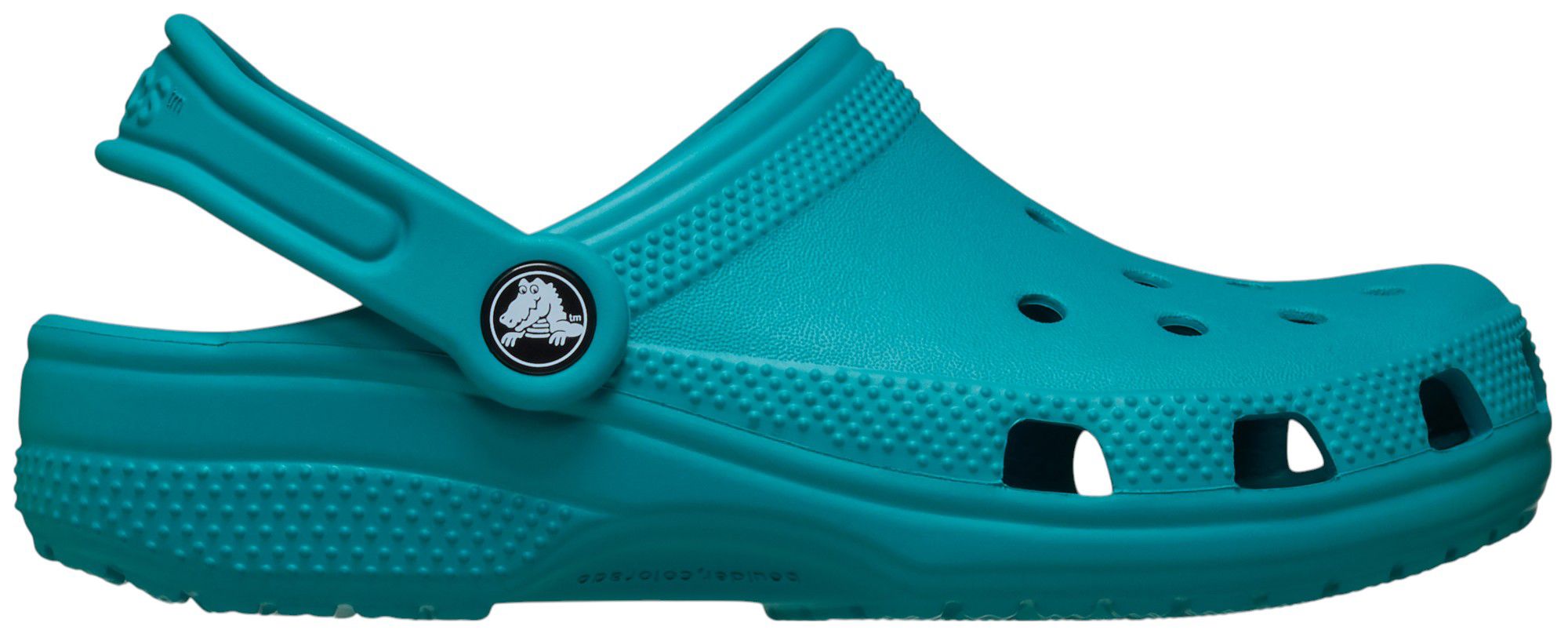Turbo Teal