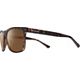 Tortoise/Brown