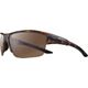 Tortoise/Brown