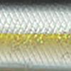 American Shad