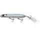 Emerald Shiner