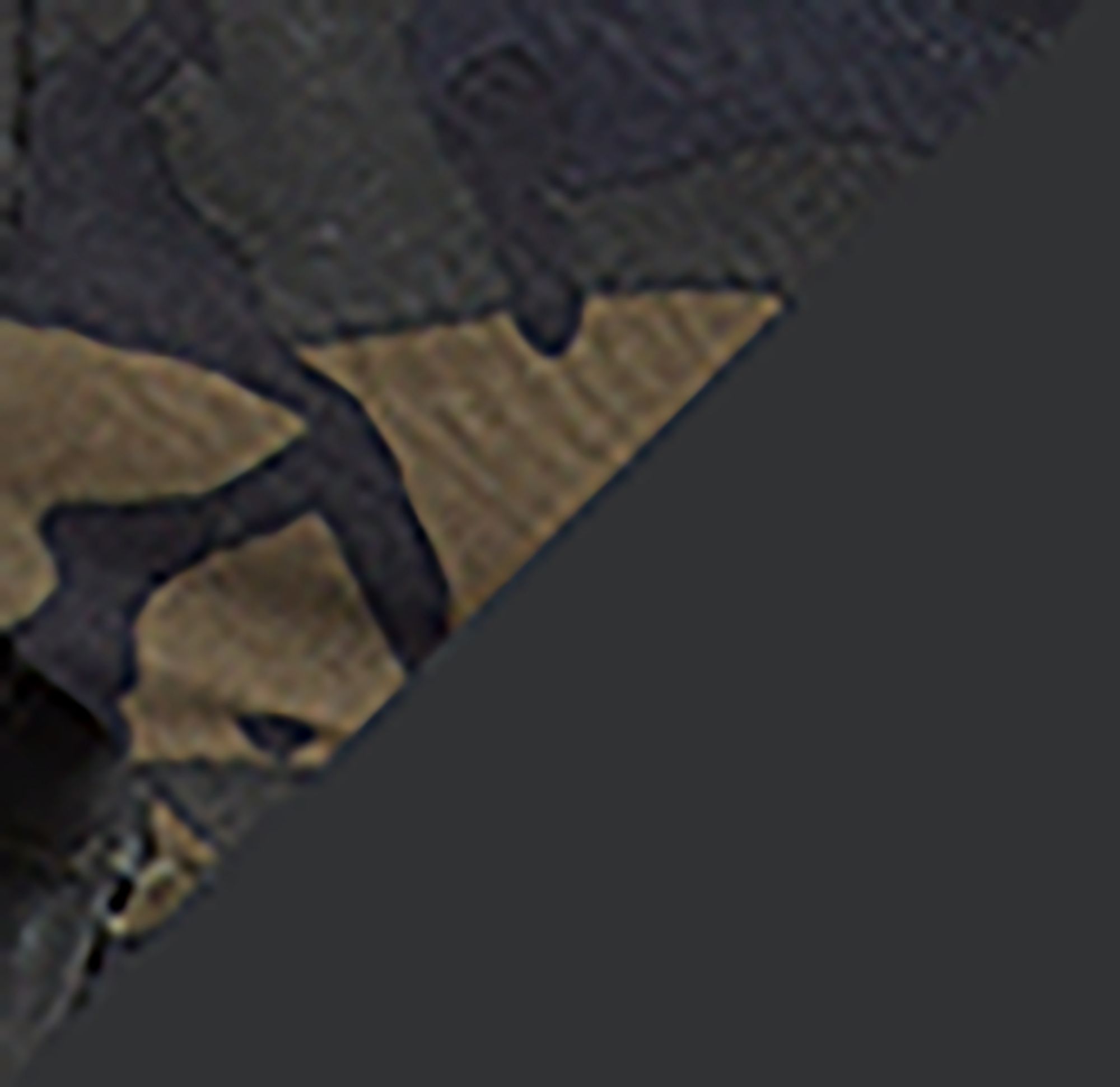Cascade Camo
