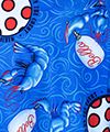 Blue/Red/White