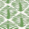 Fern