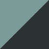 Agave