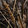 Realtree Max 7