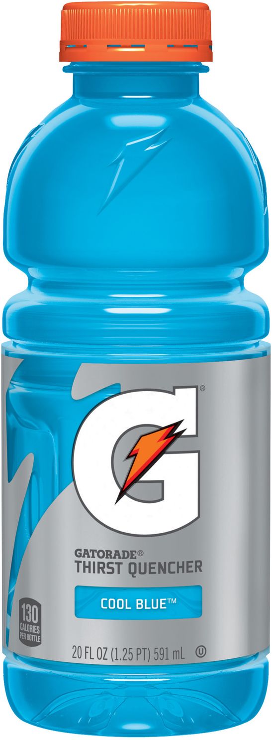 Gatorade Sports Drink – 20 oz.