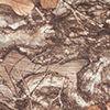 Realtree Edge Camo