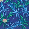 Palm/Blue