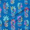 The Pineapple Sketches