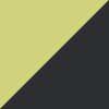 Black/Volt