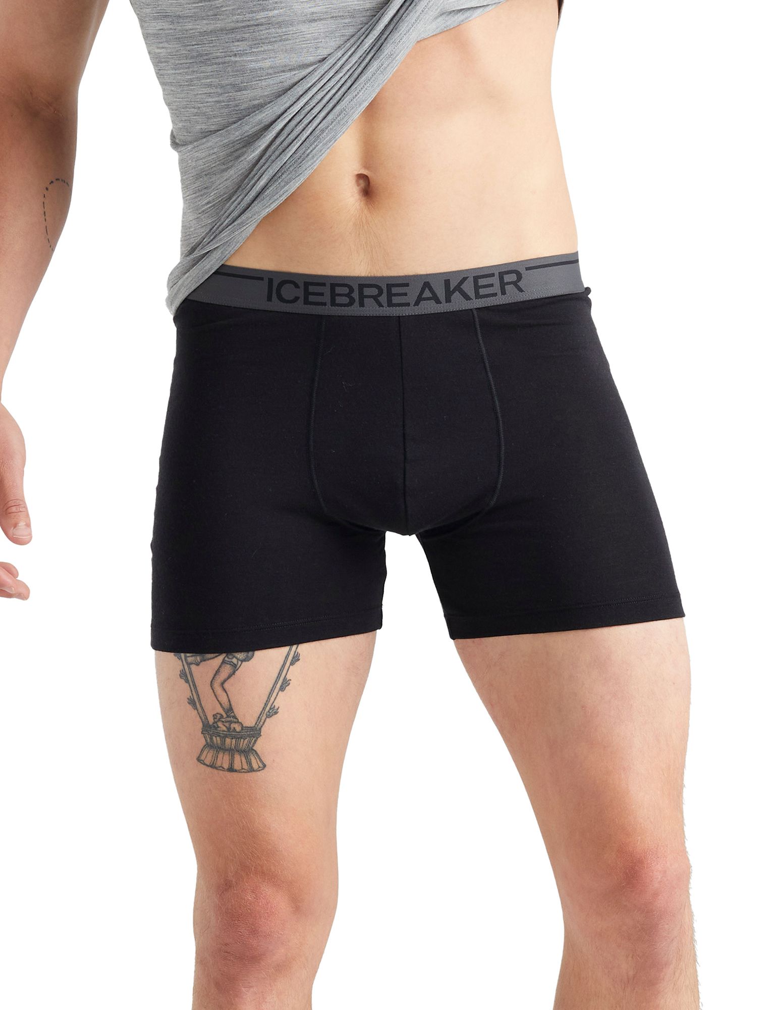 Icebreaker Men's Anatomica Boxers