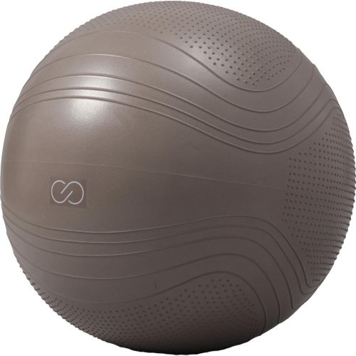 Fitness Gear Weighted Stability Ball | Dick's Sporting Goods
