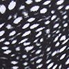 Deep Sea Dots Pure Black
