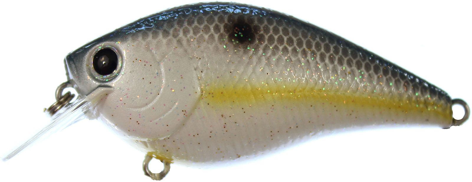 Sexy Chartreuse Shad