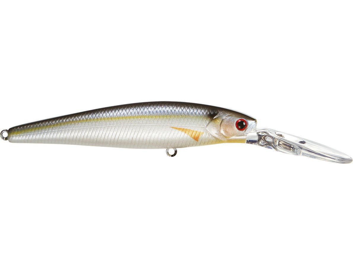 Pearl Threadfin Shad